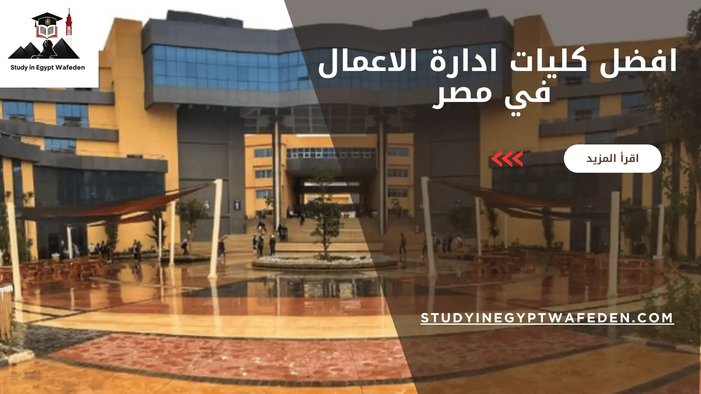 افضل كليات ادارة الاعمال في مصر