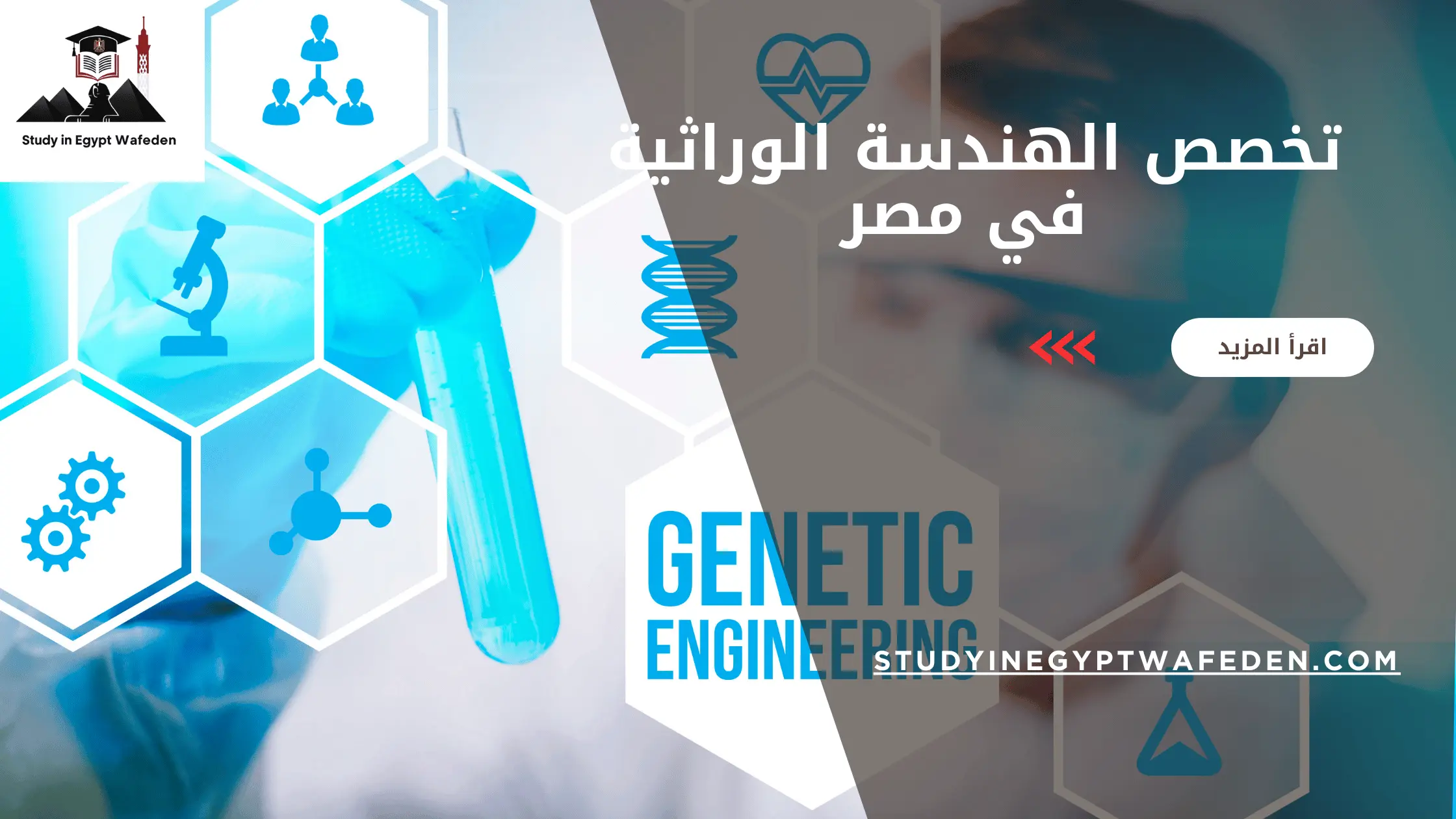 تخصص الهندسة الوراثية في مصر