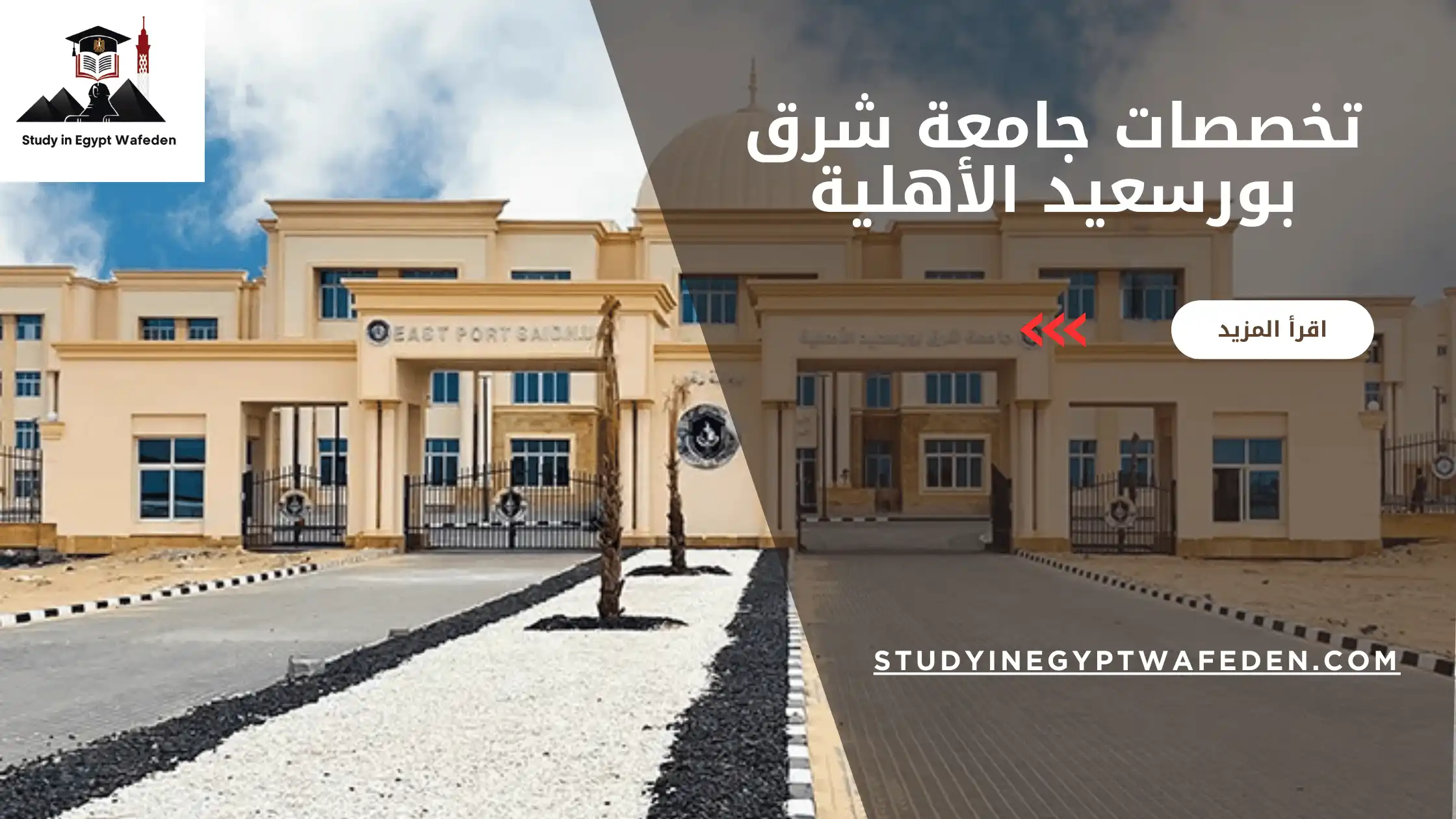 تخصصات جامعة شرق بورسعيد الأهلية