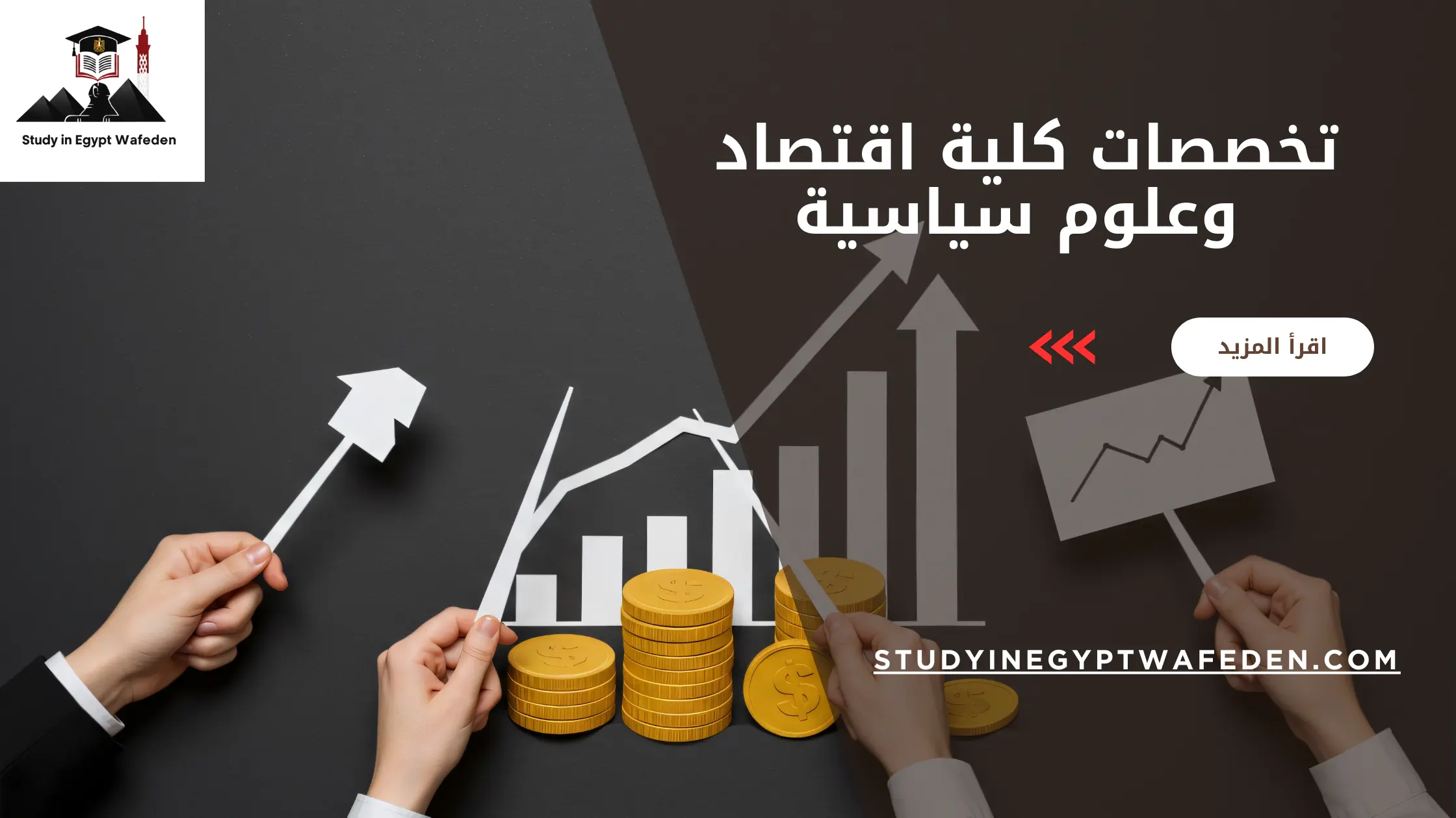 تخصصات كلية اقتصاد وعلوم سياسية