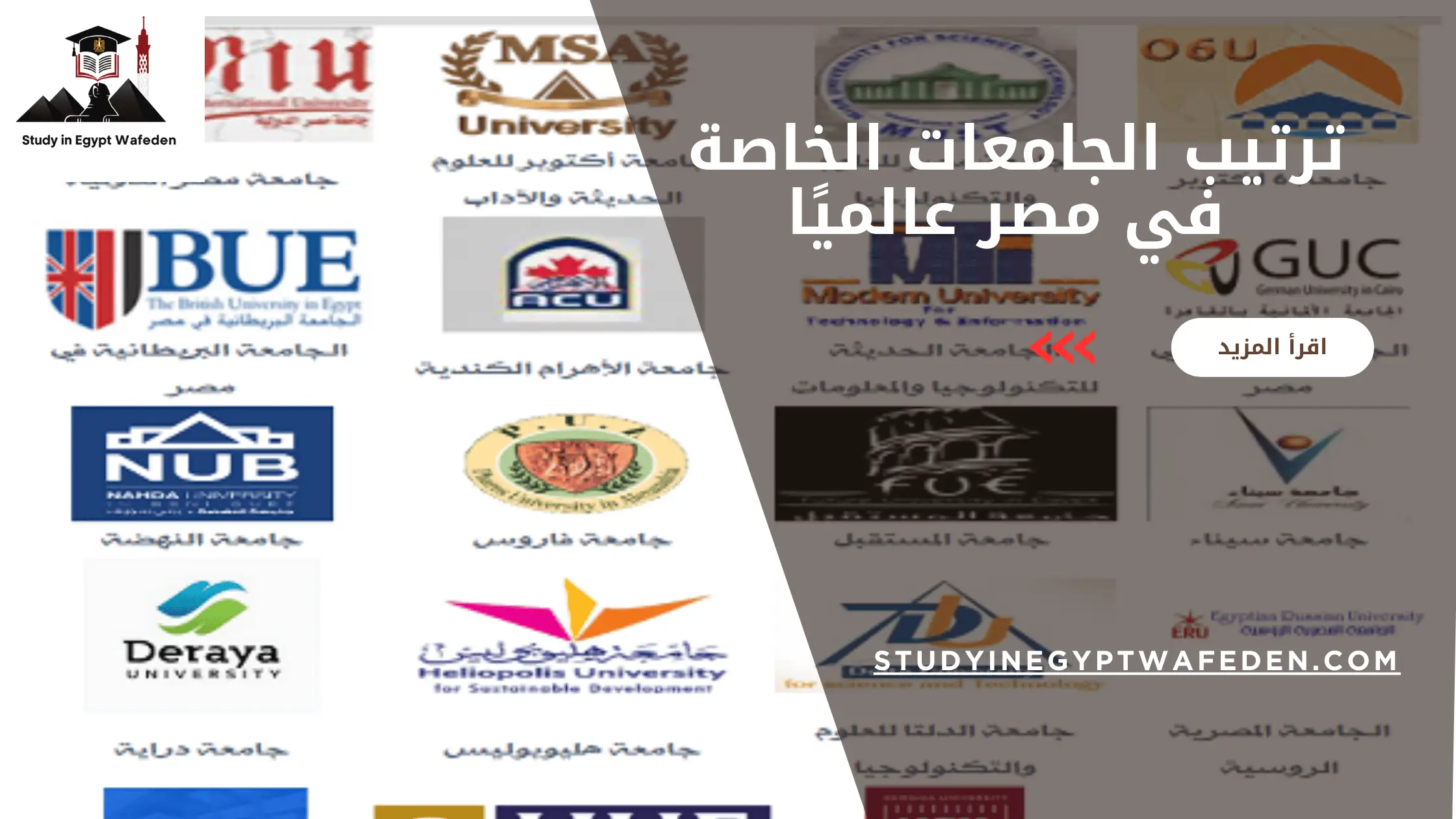 ترتيب الجامعات الخاصة في مصر عالميًا