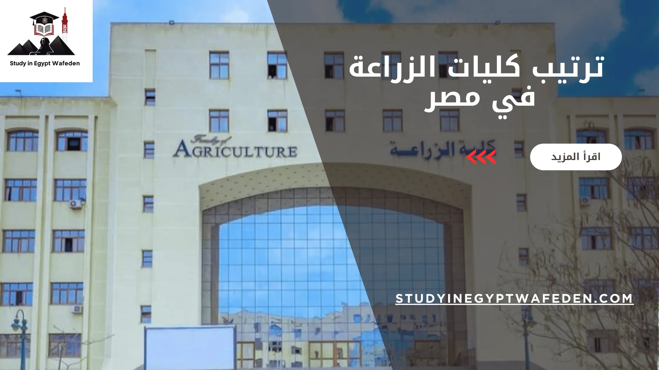 ترتيب كليات الزراعة في مصر