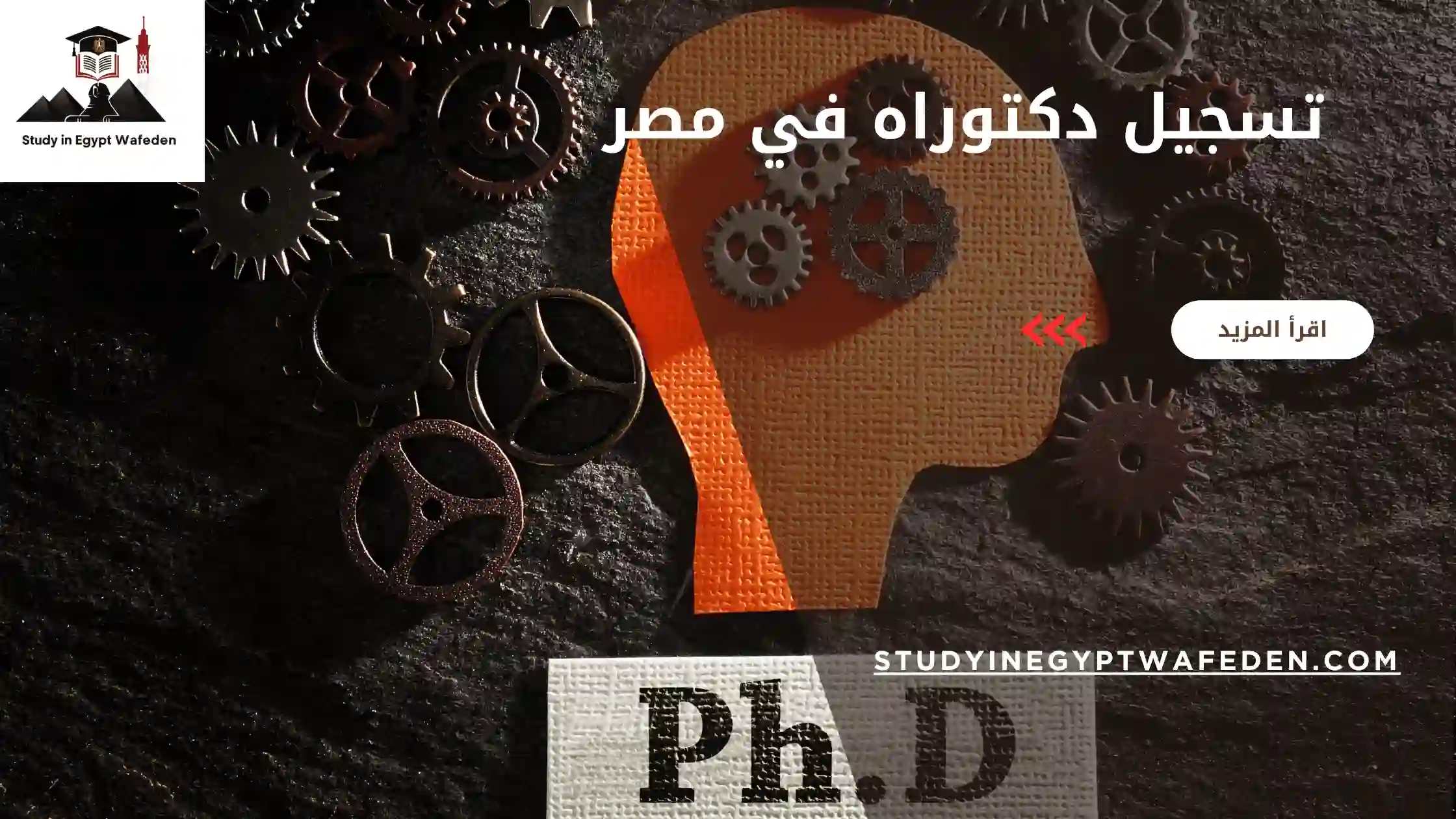 تسجيل دكتوراه في مصر