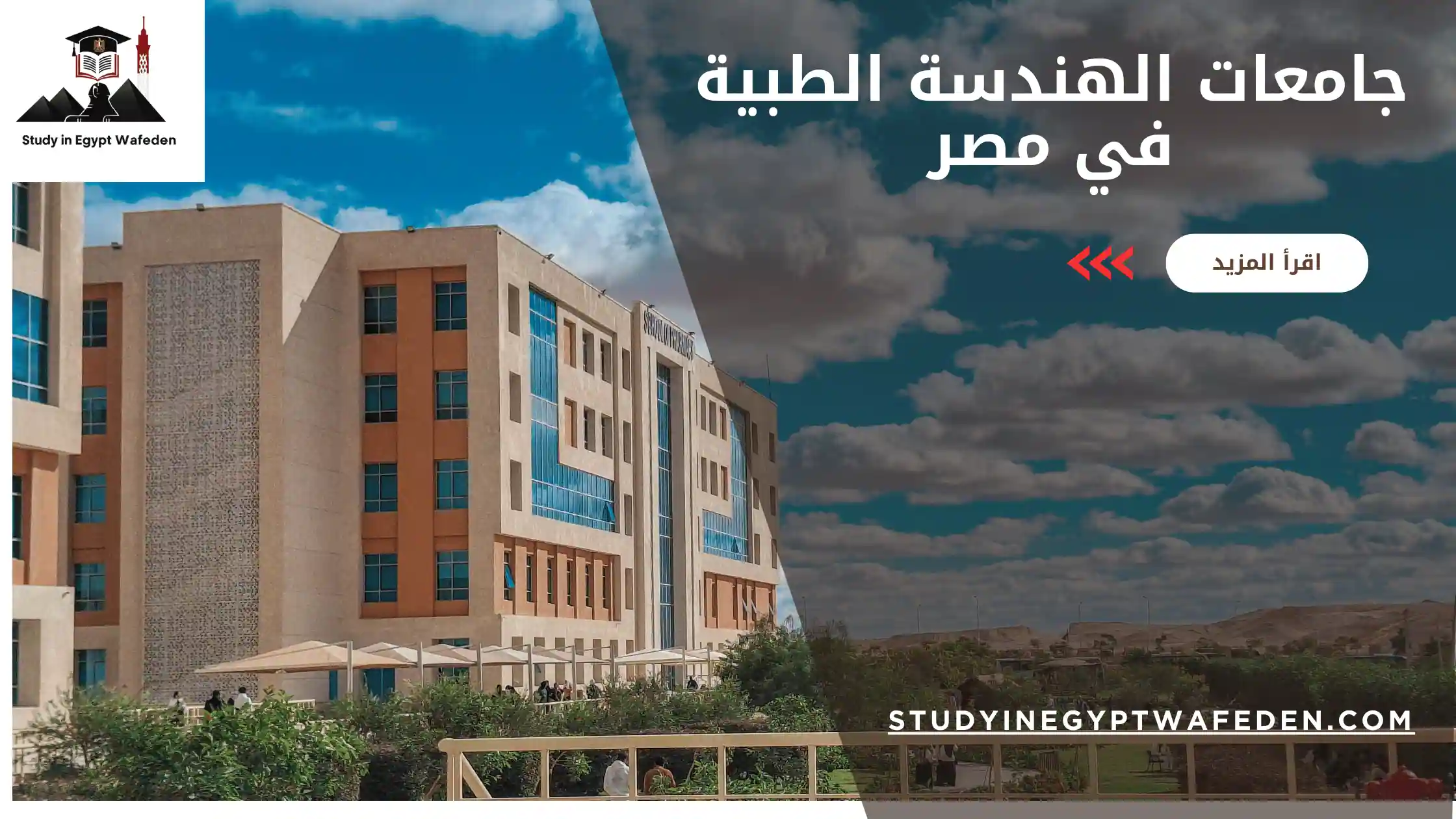 جامعات الهندسة الطبية في مصر