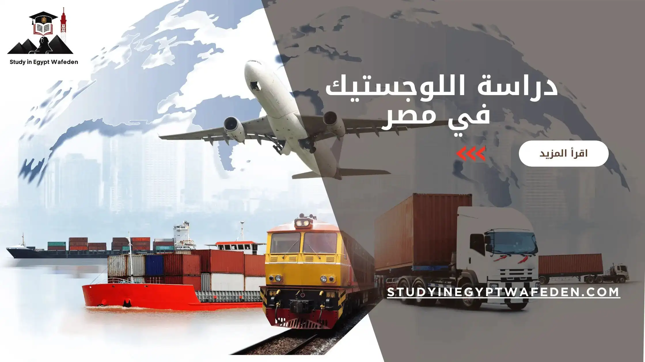 دراسة اللوجستيك في مصر