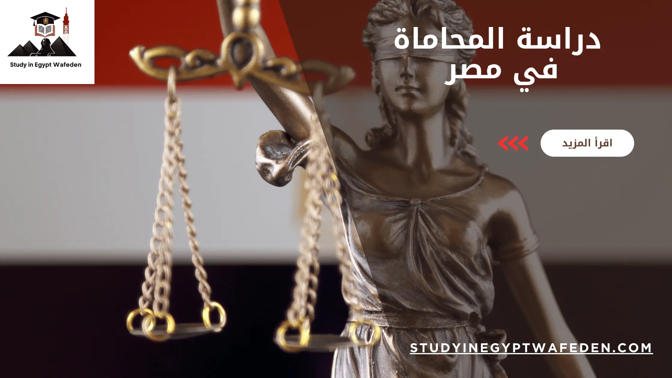دراسة المحاماة في مصر