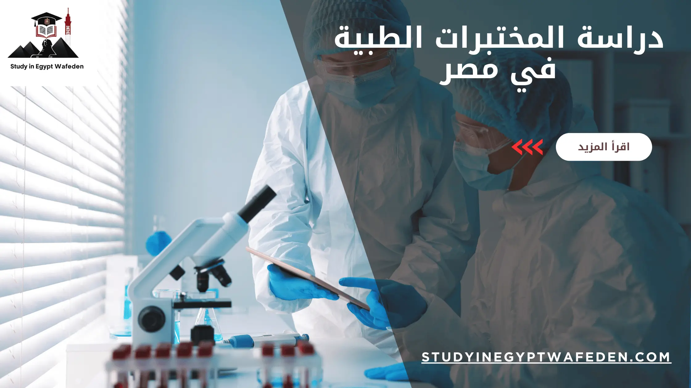 دراسة المختبرات الطبية في مصر