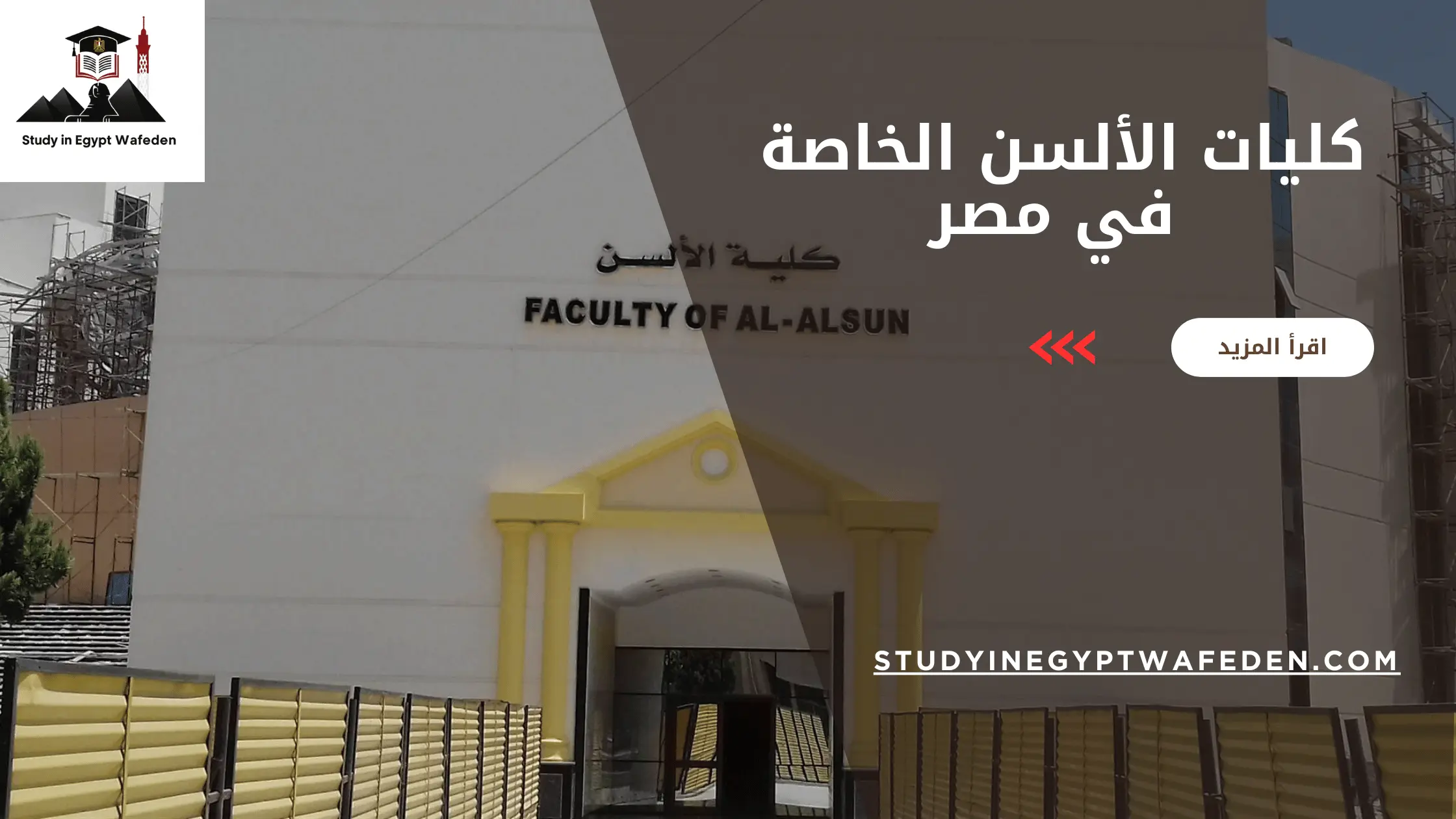 كليات الألسن الخاصة في مصر