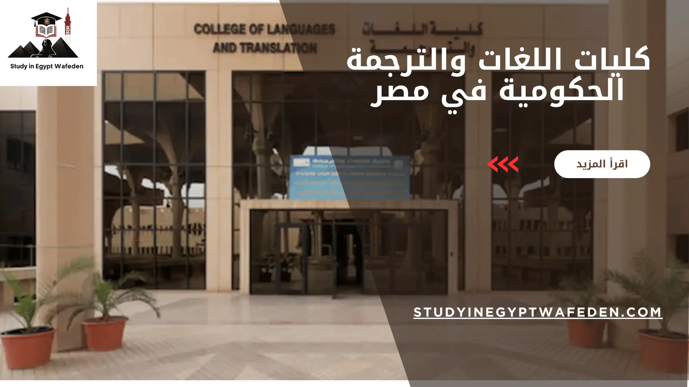 كليات اللغات والترجمة الحكومية في مصر
