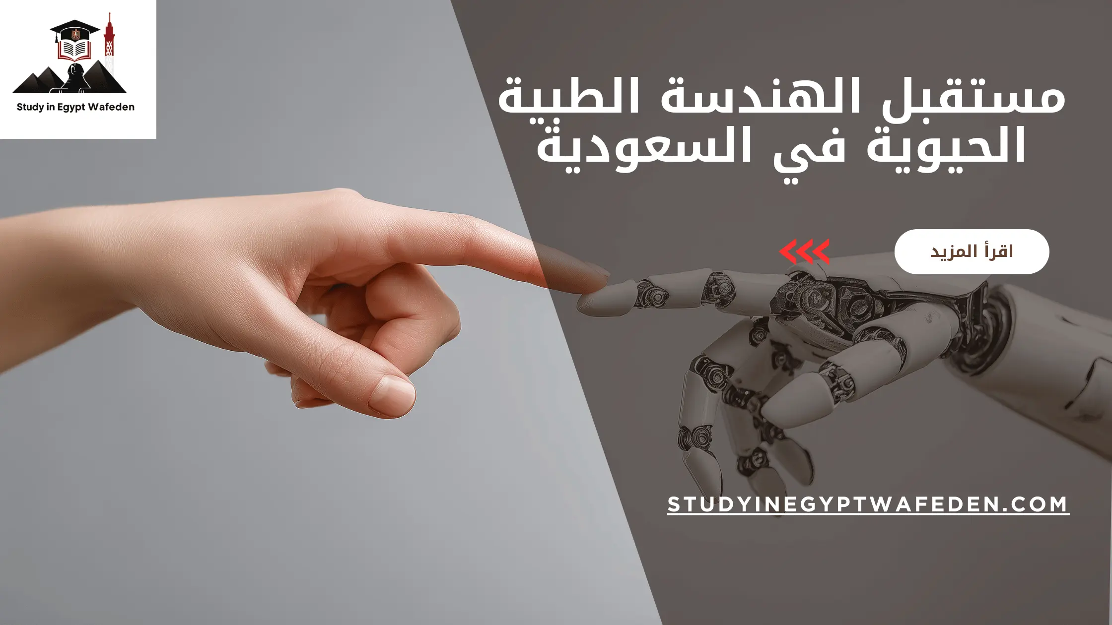مستقبل الهندسة الطبية الحيوية في السعودية