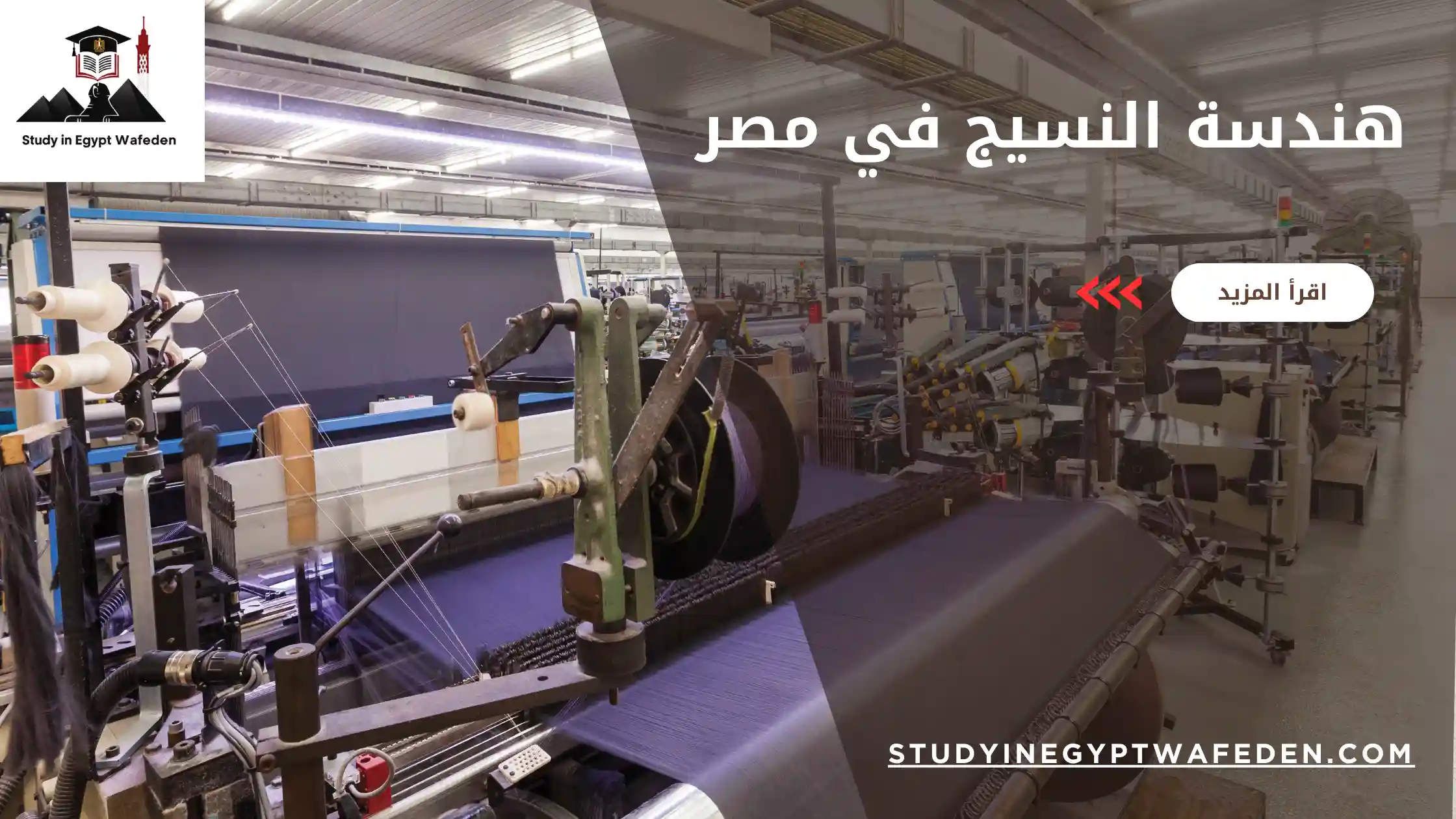 هندسة النسيج في مصر