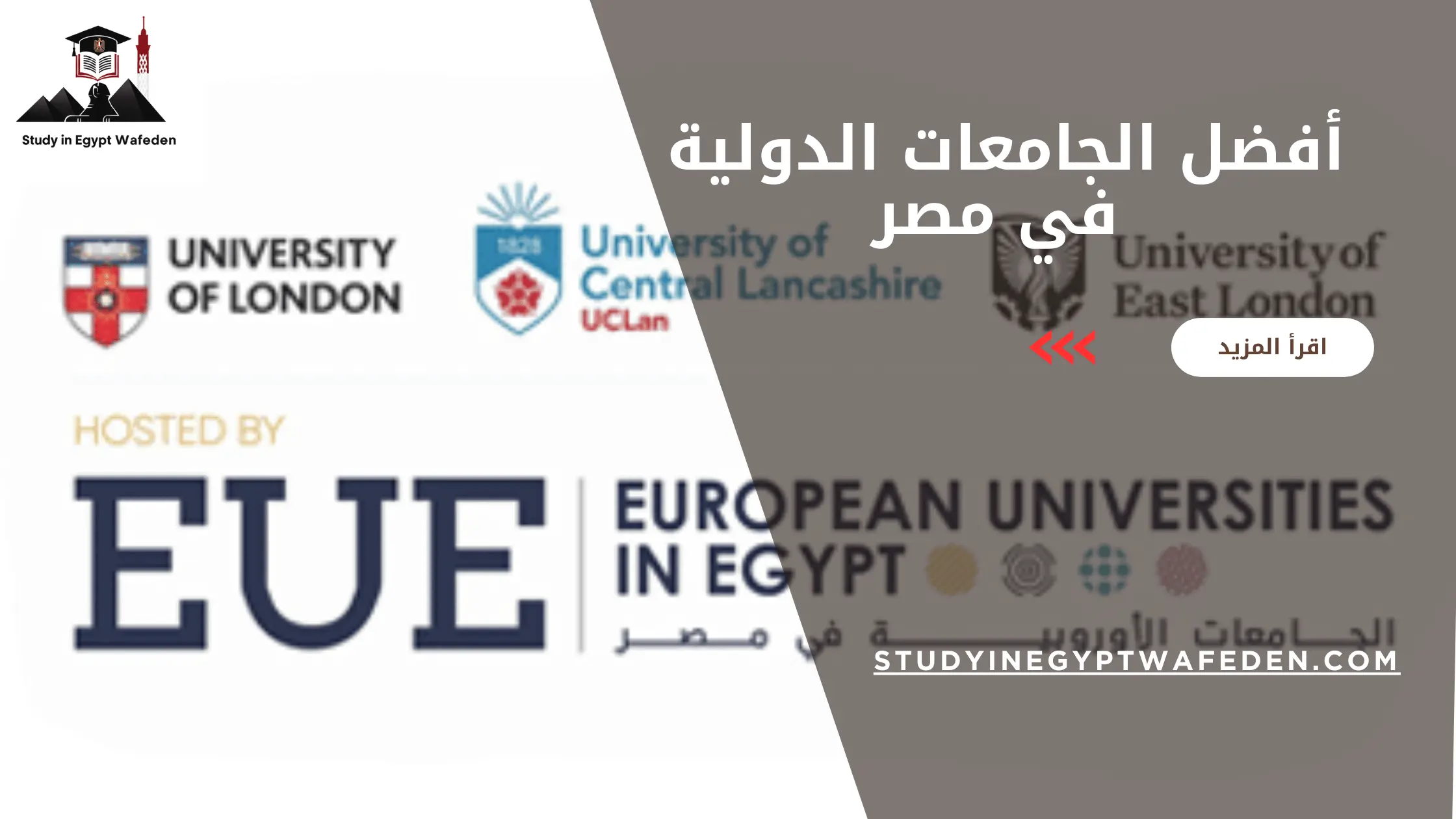 أفضل الجامعات الدولية في مصر