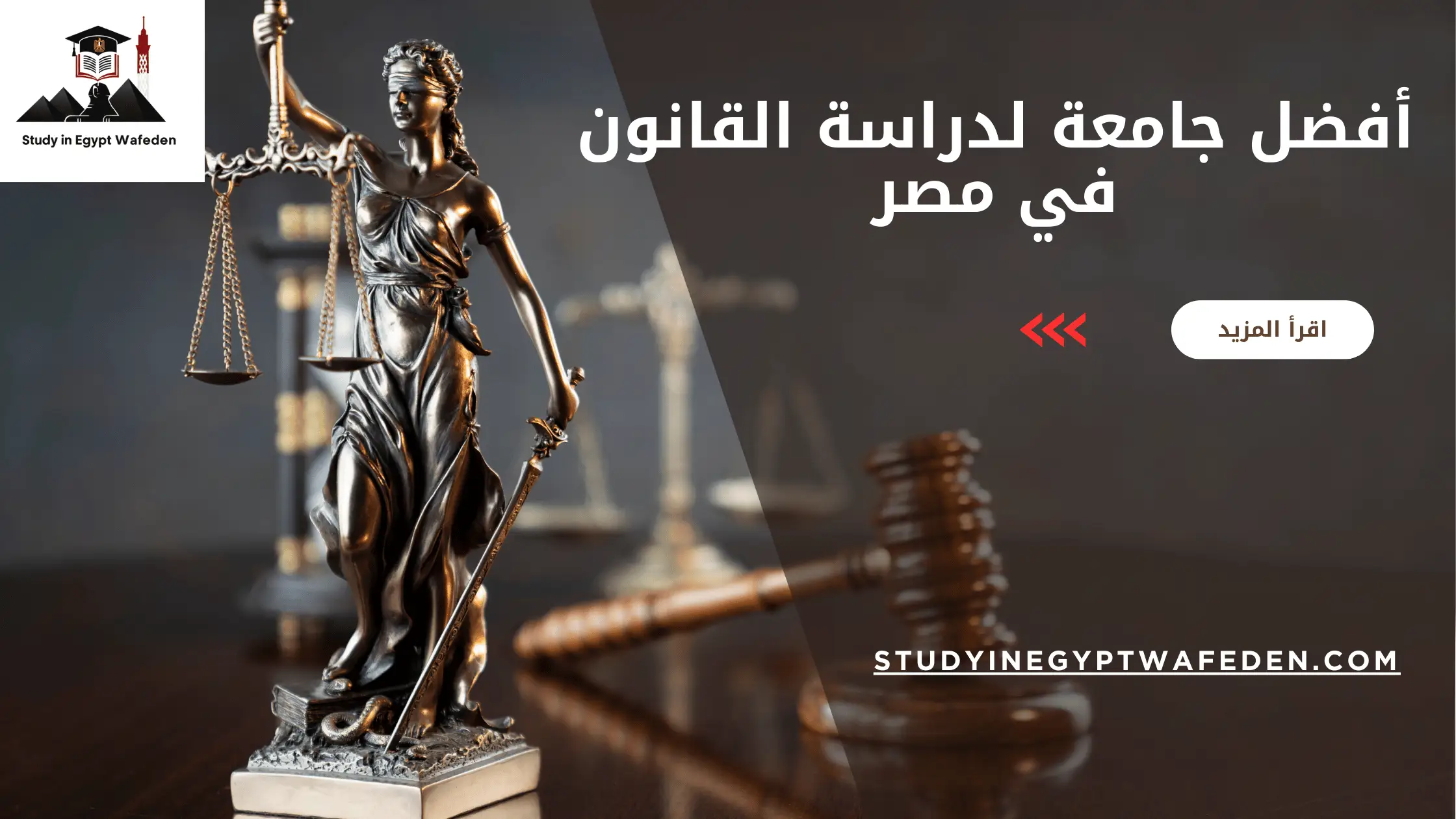 أفضل جامعة لدراسة القانون في مصر