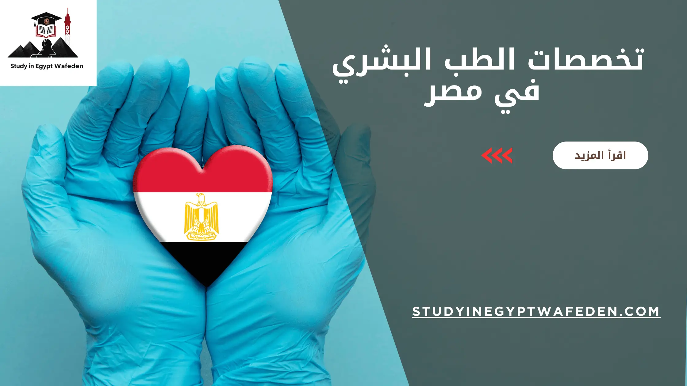 تخصصات الطب البشري في مصر