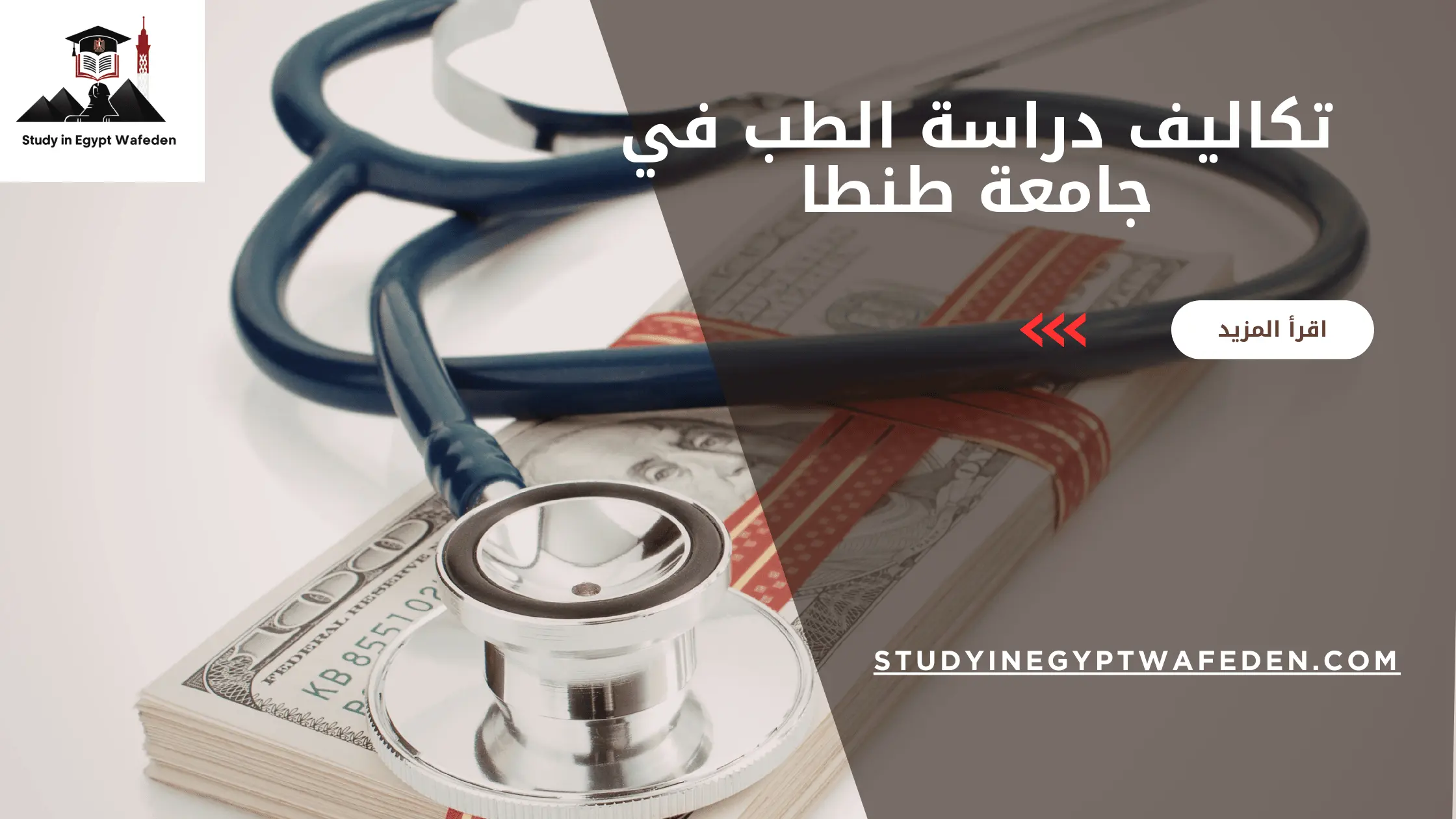 تكاليف دراسة الطب في جامعة طنطا