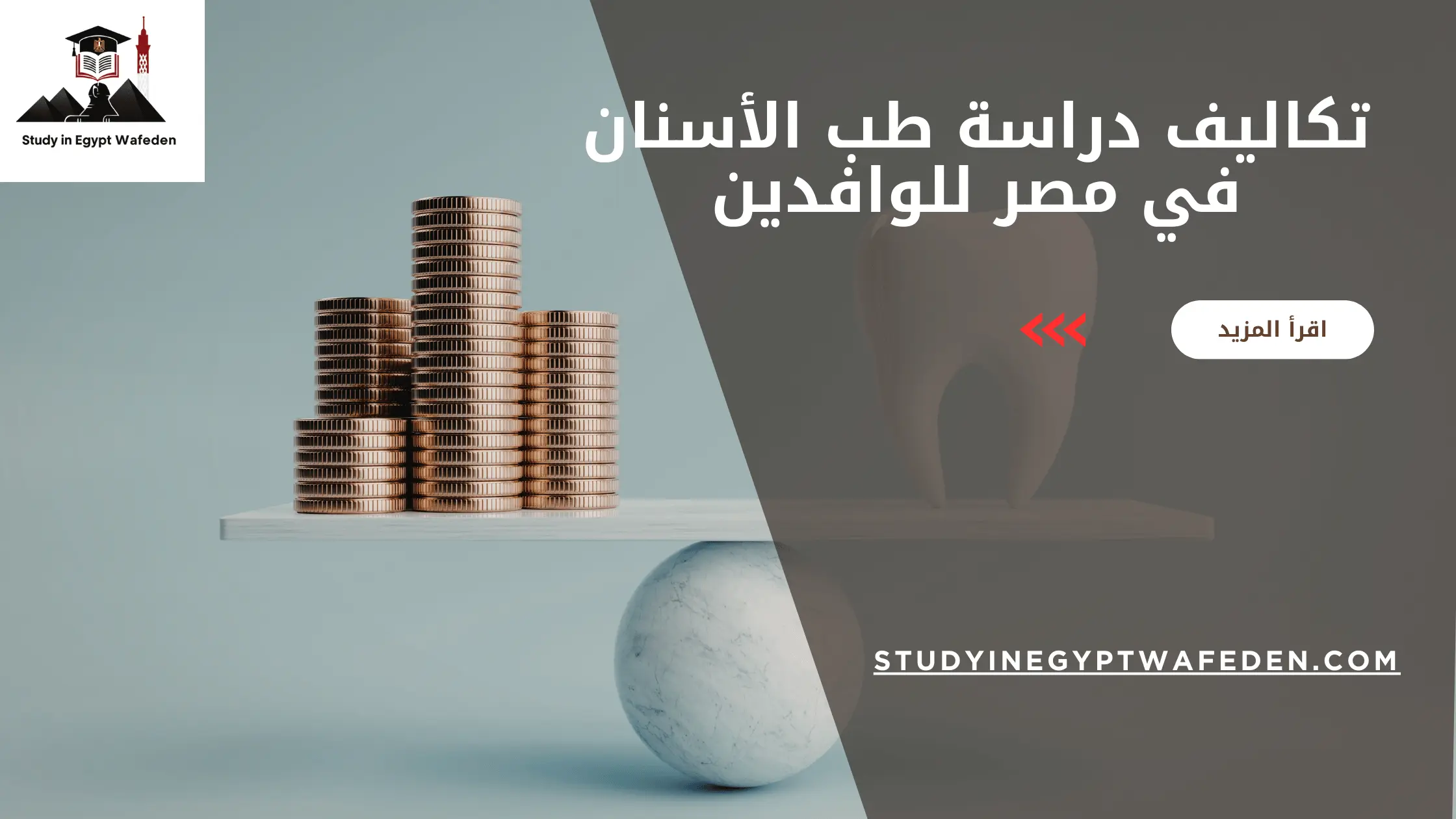 تكاليف دراسة طب الأسنان في مصر للوافدين