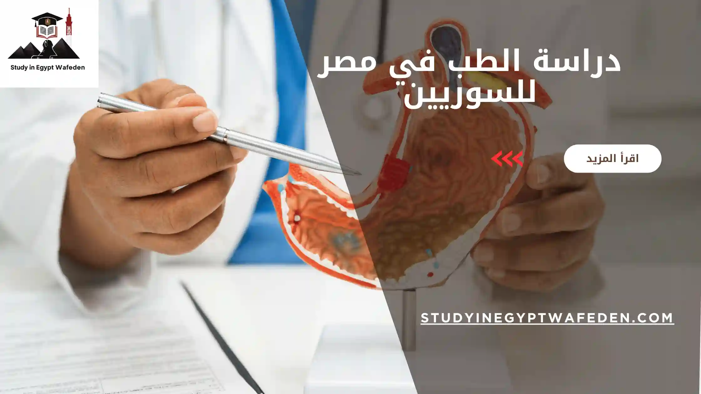 دراسة الطب في مصر للسوريين