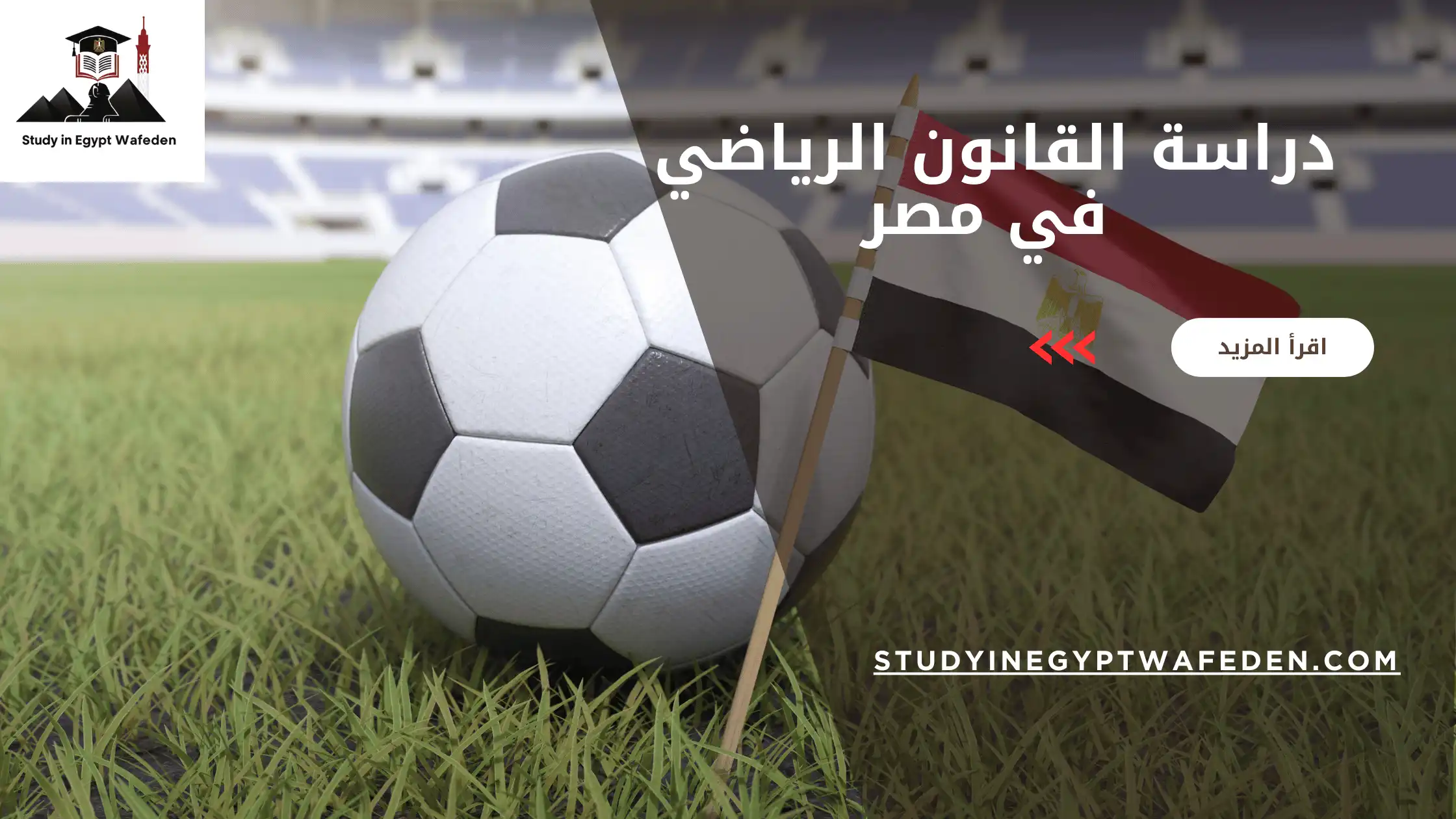 دراسة القانون الرياضي في مصر