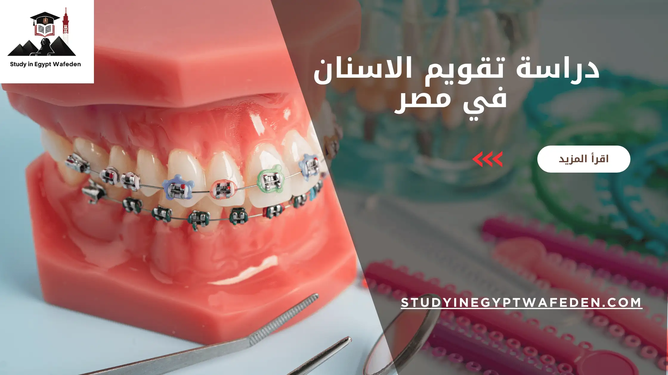 دراسة تقويم الاسنان في مصر