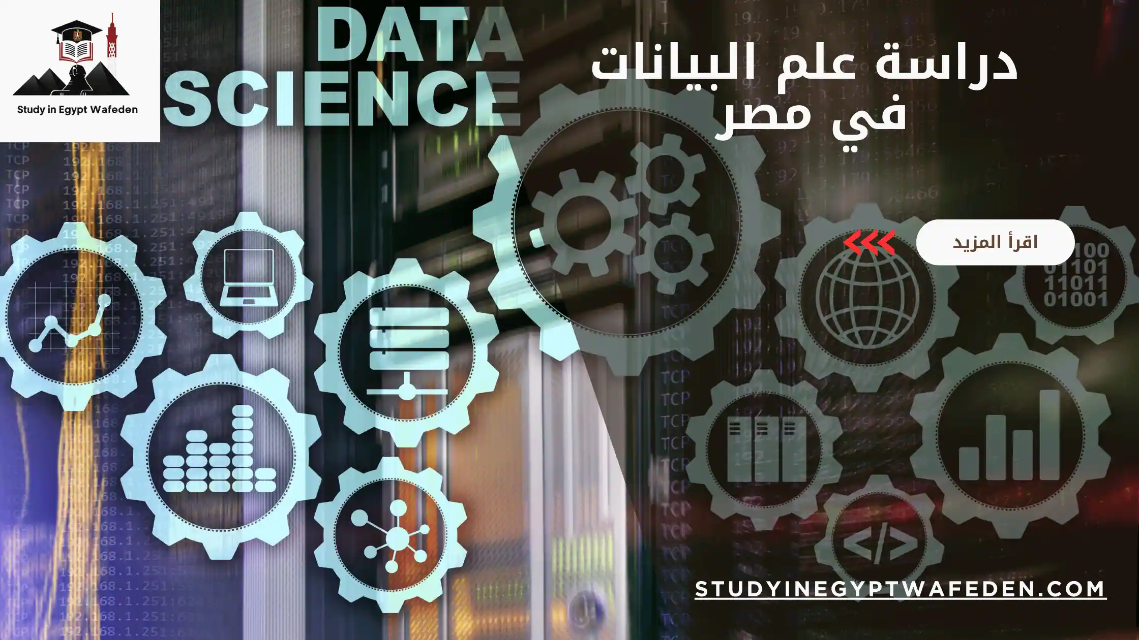 دراسة علم البيانات في مصر