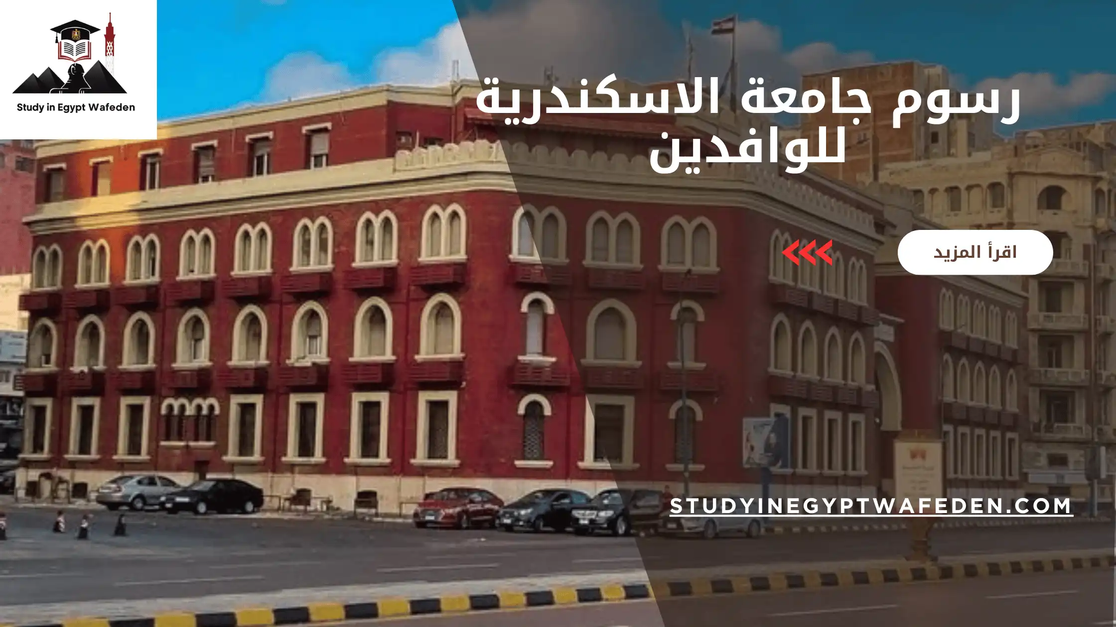 رسوم جامعة الاسكندرية للوافدين