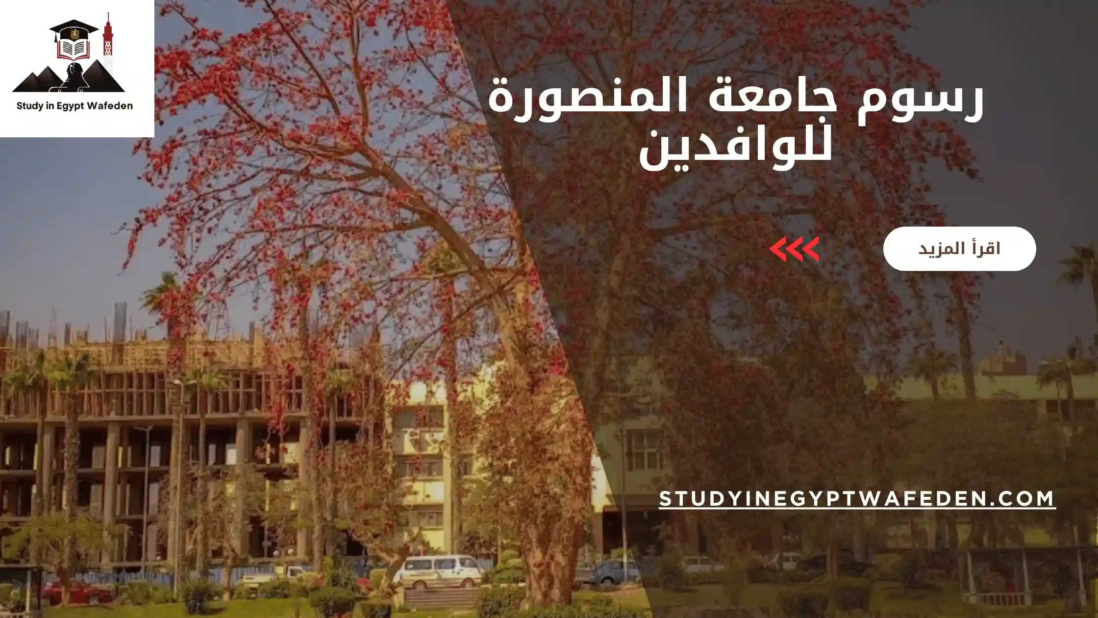 رسوم جامعة المنصورة للوافدين