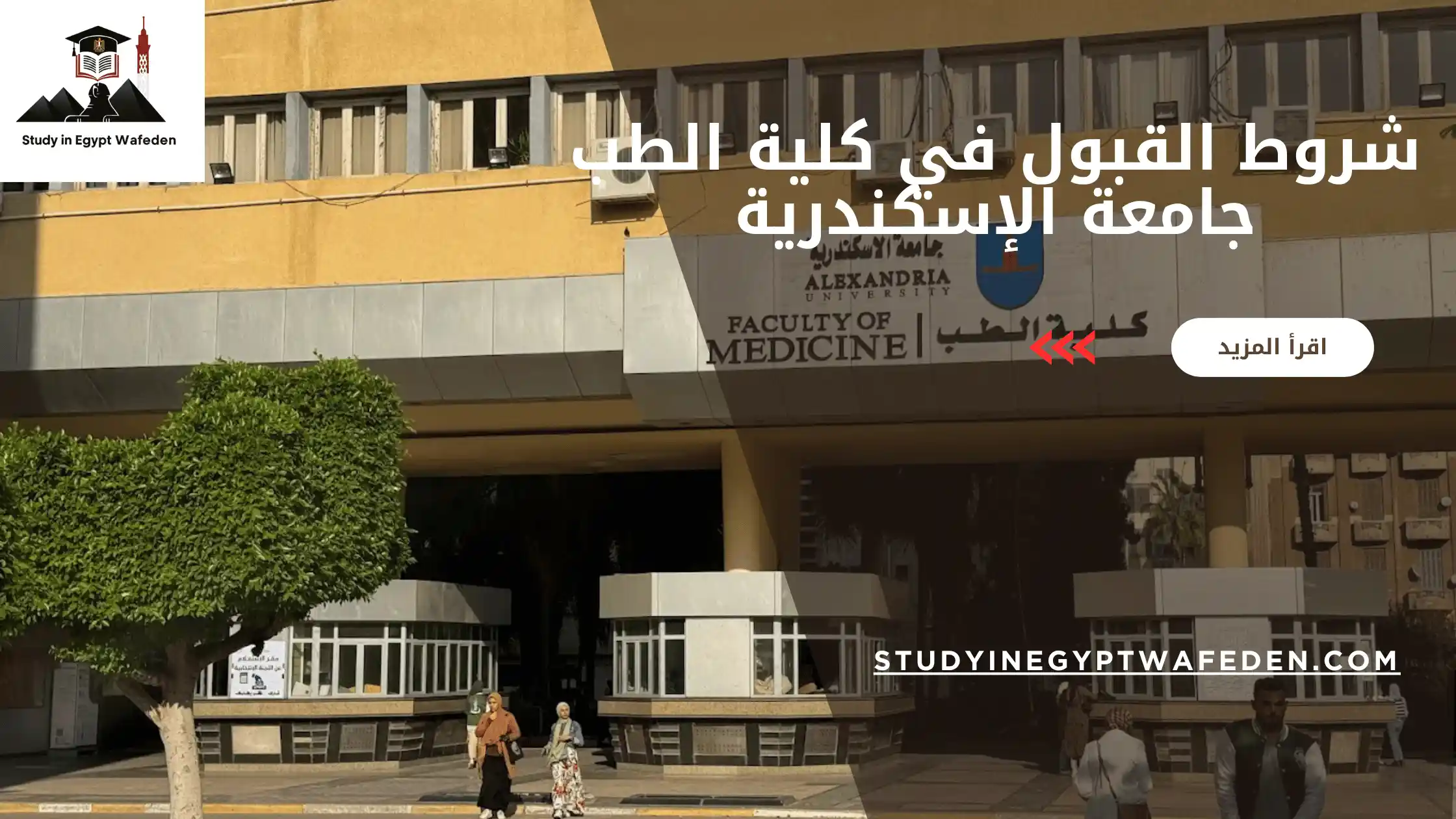 شروط القبول في كلية الطب جامعة الإسكندرية