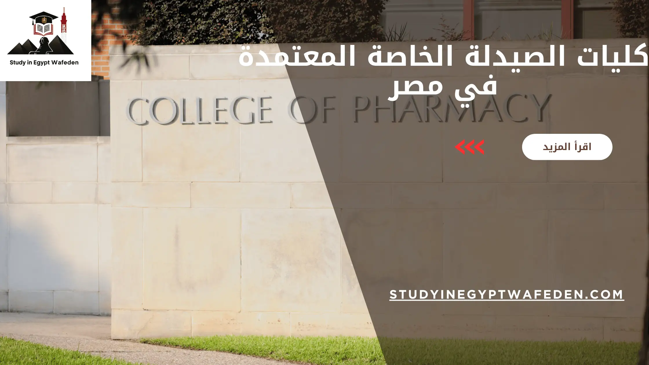 كليات الصيدلة الخاصة المعتمدة في مصر