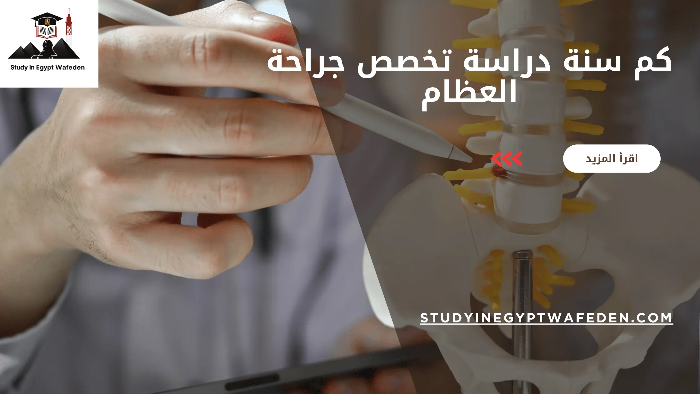 كم سنة دراسة تخصص جراحة العظام