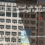 مصاريف كلية طب أسنان جامعة القاهرة للوافدين