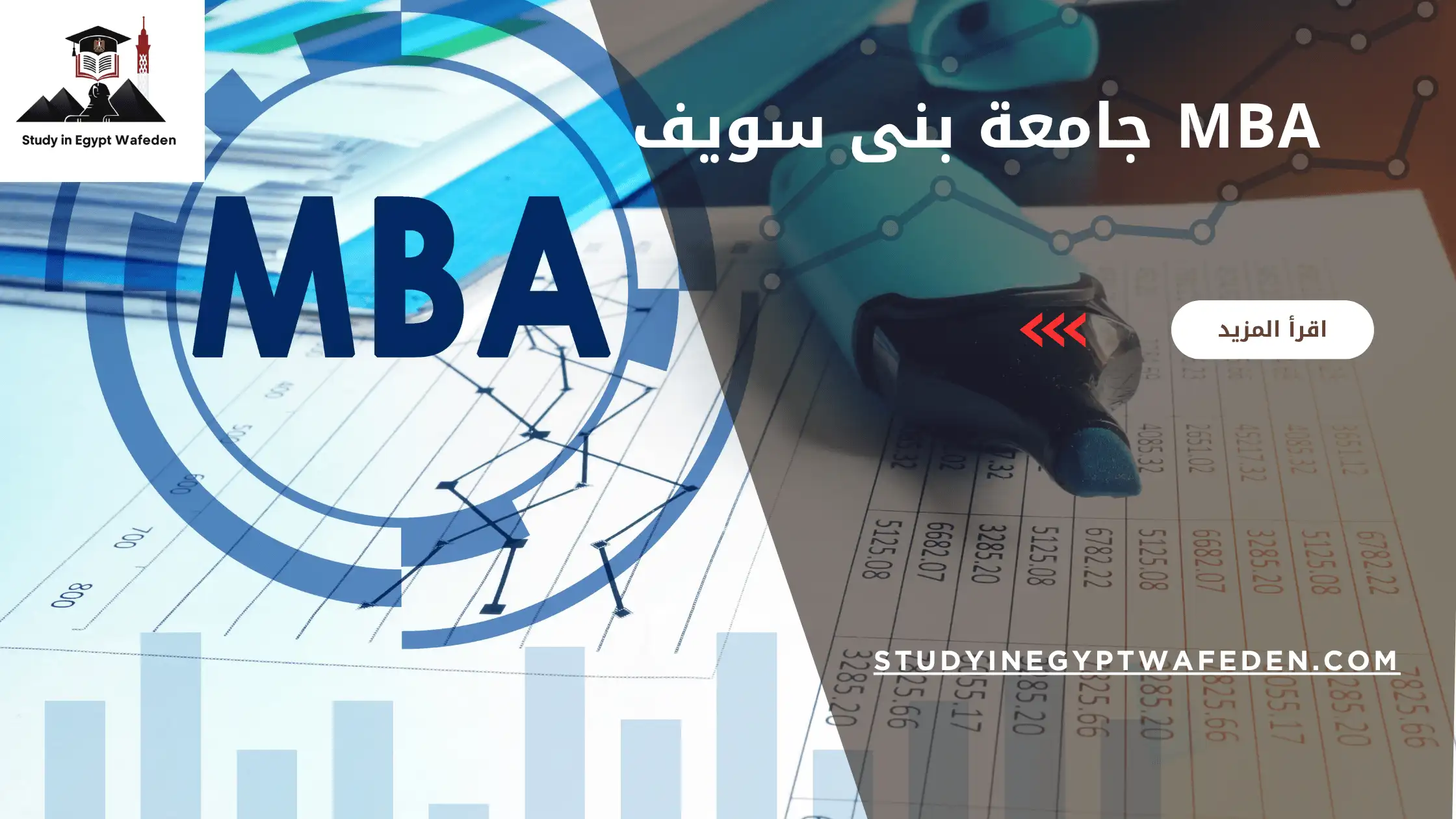 mba جامعة بنى سويف