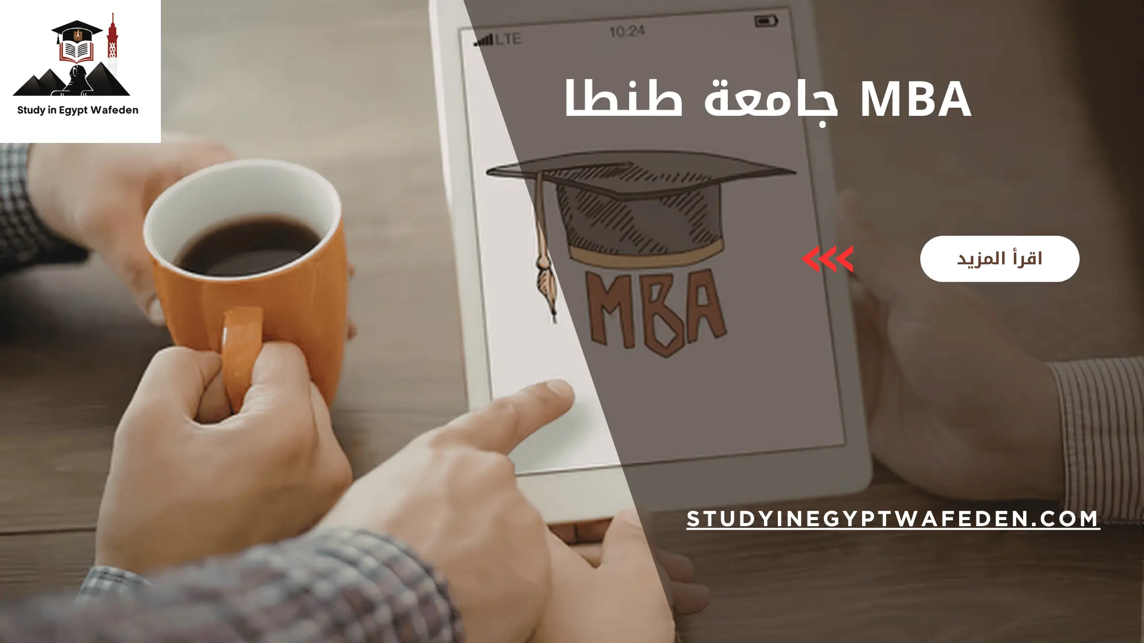 mba جامعة طنطا