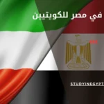 الدراسة في مصر للكويتيين