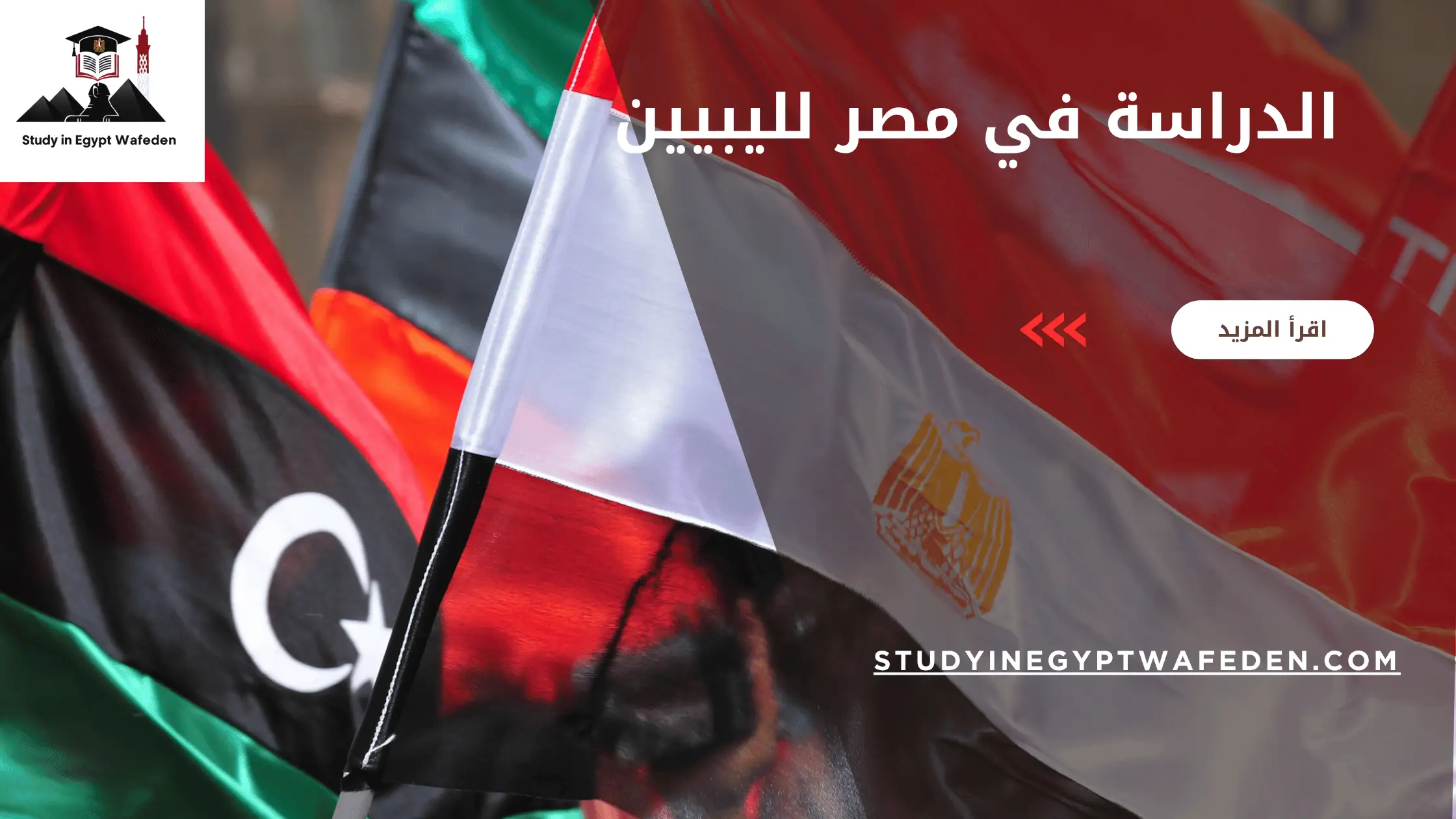 الدراسة في مصر لليبيين