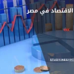دراسة الاقتصاد في مصر