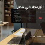 دراسة البرمجة في مصر