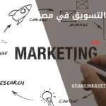 دراسة التسويق في مصر