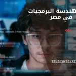 دراسة هندسة البرمجيات في مصر