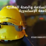 ماجستير السلامة والصحة المهنية بجامعة الإسكندرية
