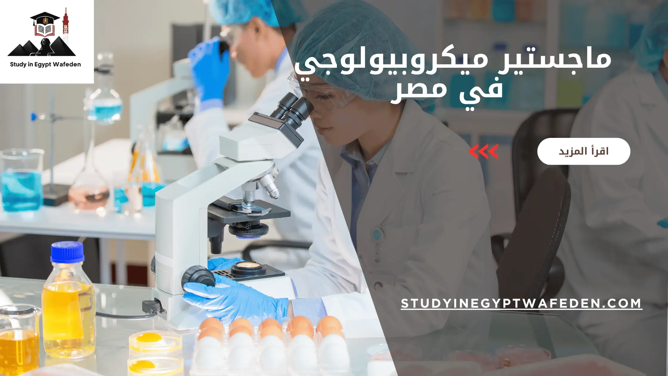 ماجستير ميكروبيولوجي في مصر