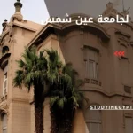 التحويل لجامعة عين شمس