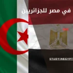 الدراسة في مصر للجزائريين