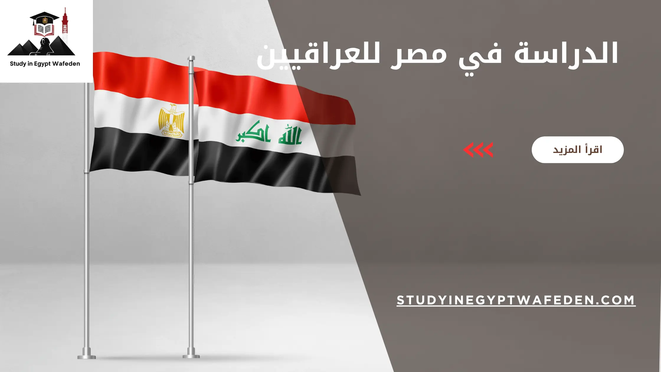 الدراسة في مصر للعراقيين