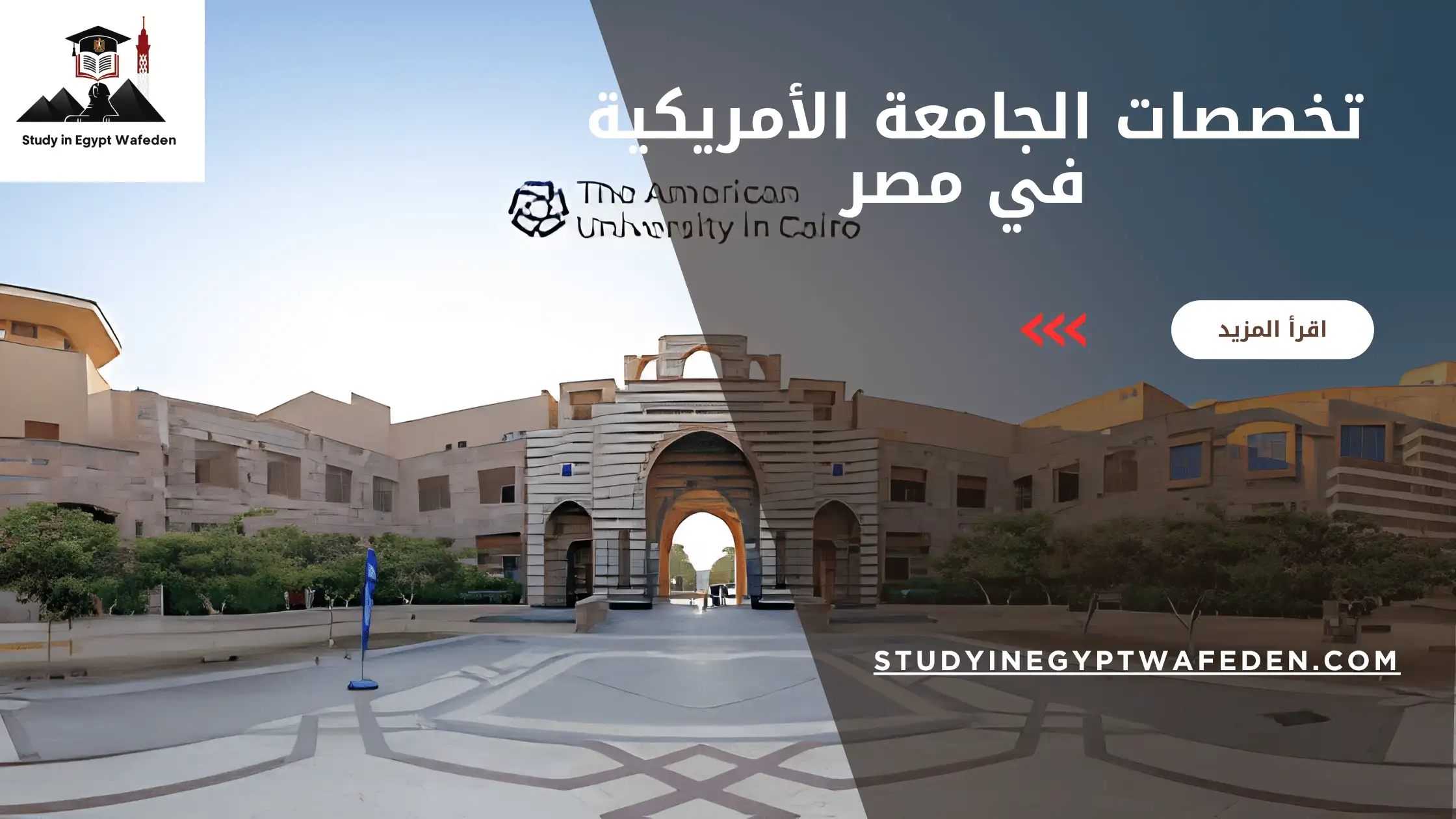 تخصصات الجامعة الأمريكية في مصر