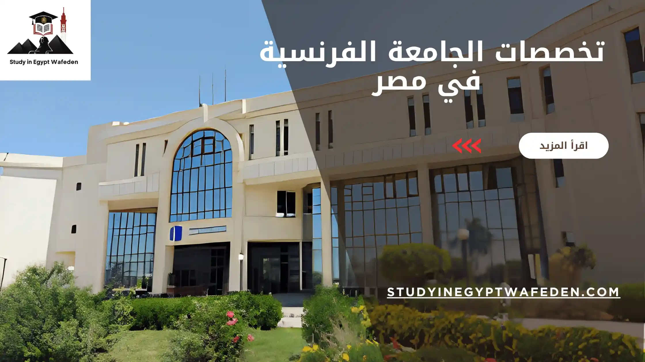 تخصصات الجامعة الفرنسية في مصر
