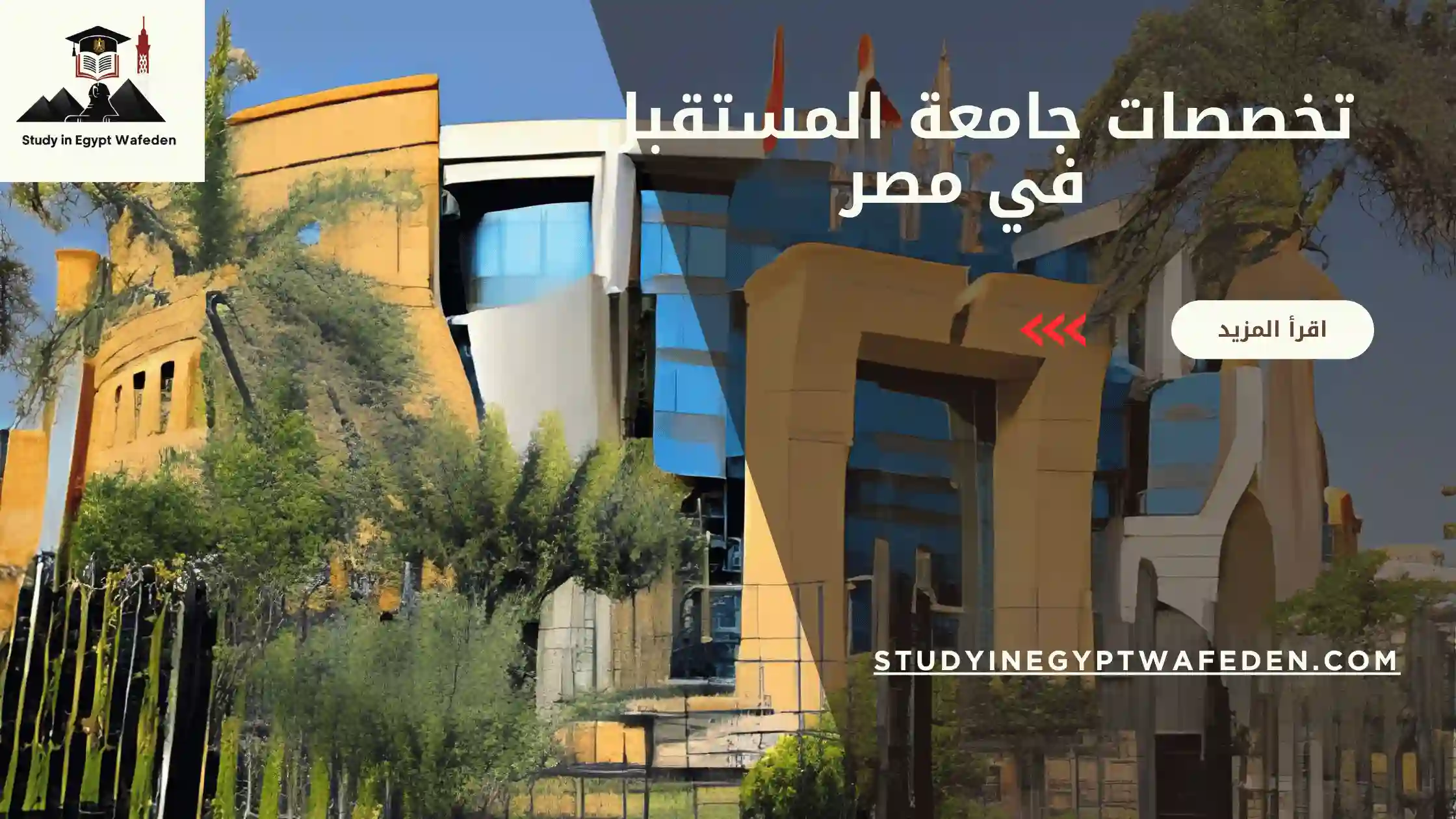 تخصصات جامعة المستقبل في مصر