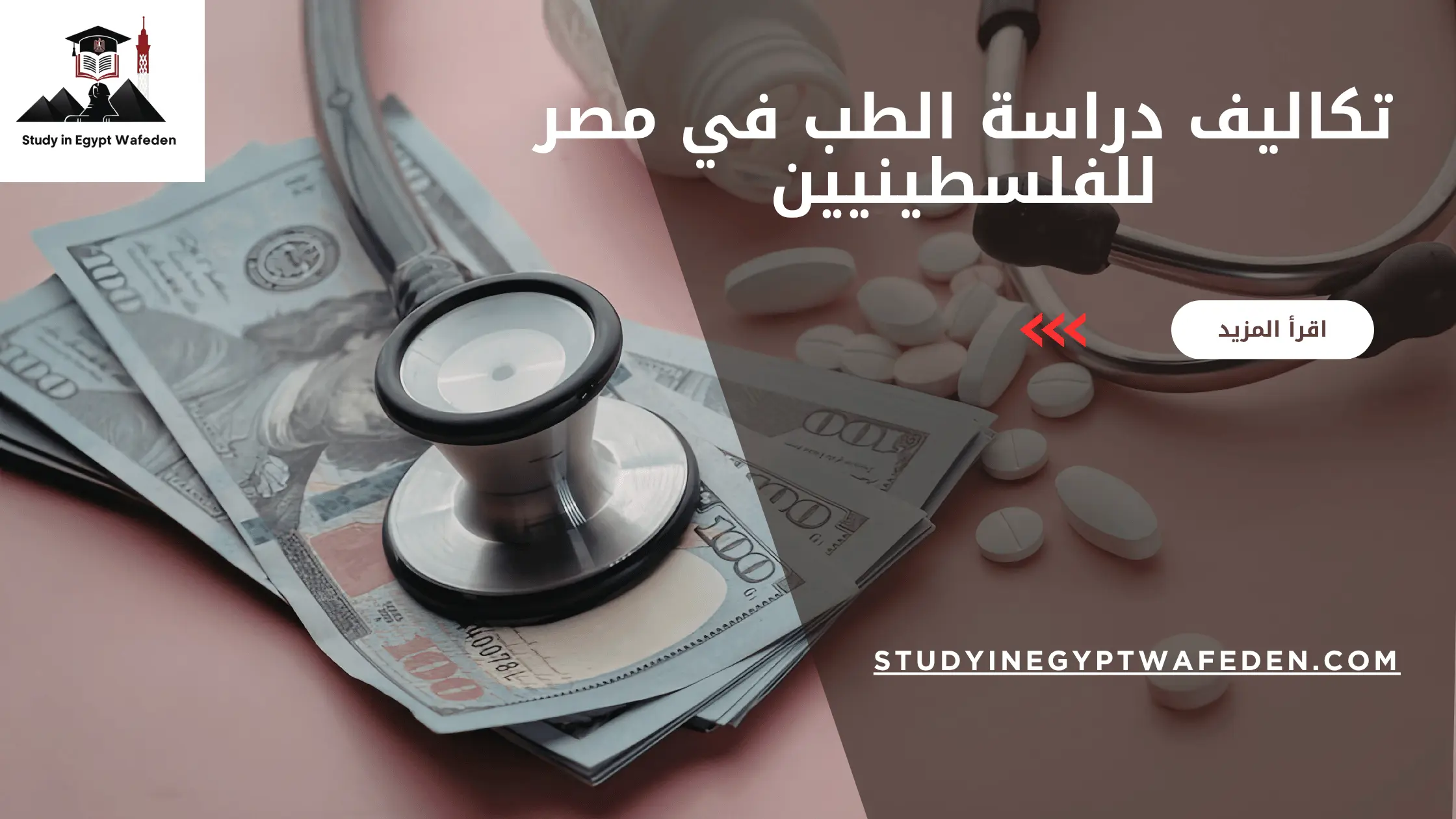 تكاليف دراسة الطب في مصر للفلسطينيين