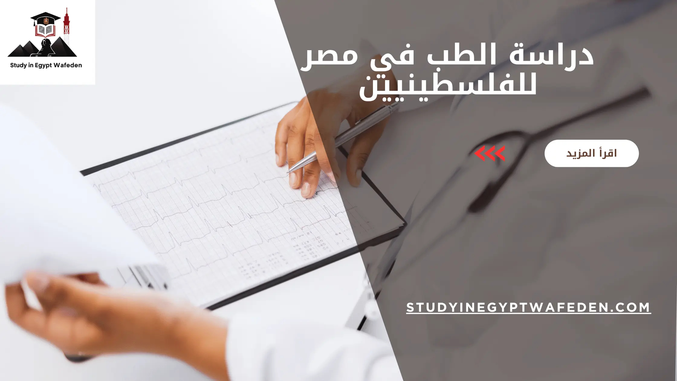 دراسة الطب في مصر للفلسطينيين