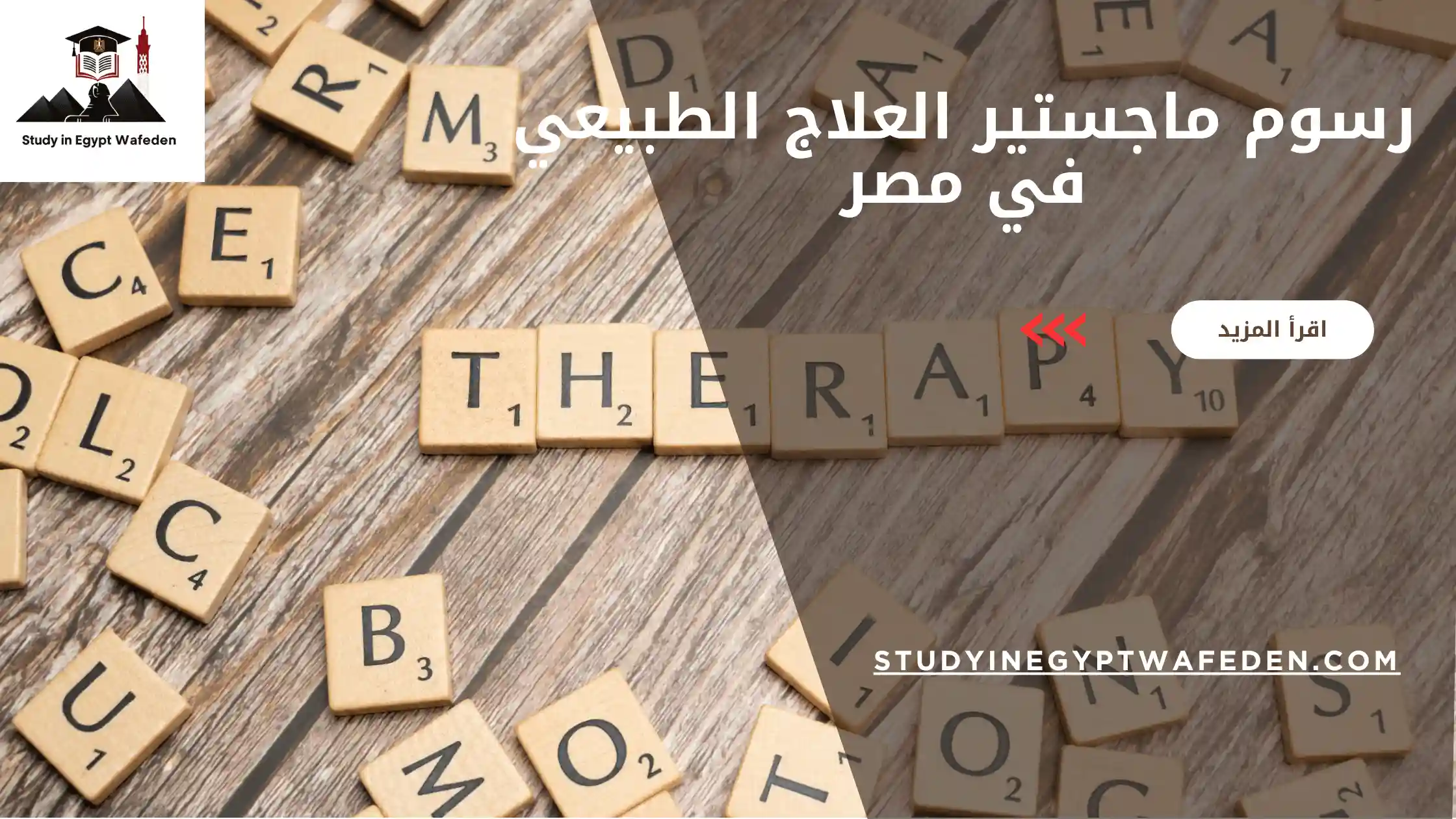 رسوم ماجستير العلاج الطبيعي في مصر