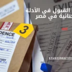 شروط القبول في الأدلة الجنائية في مصر